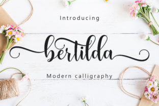 Bertilda Script: A Font for Elegant Storytelling