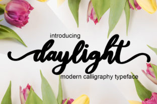 Daylight: A Script Handwritten Font That Elevates Every Design