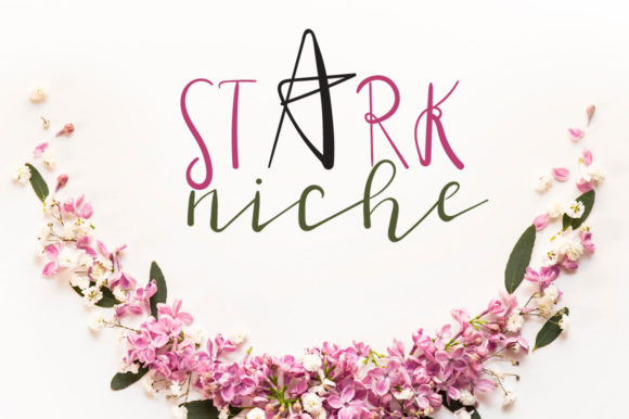 Stark Niche: The Font That Elevates Your Brand